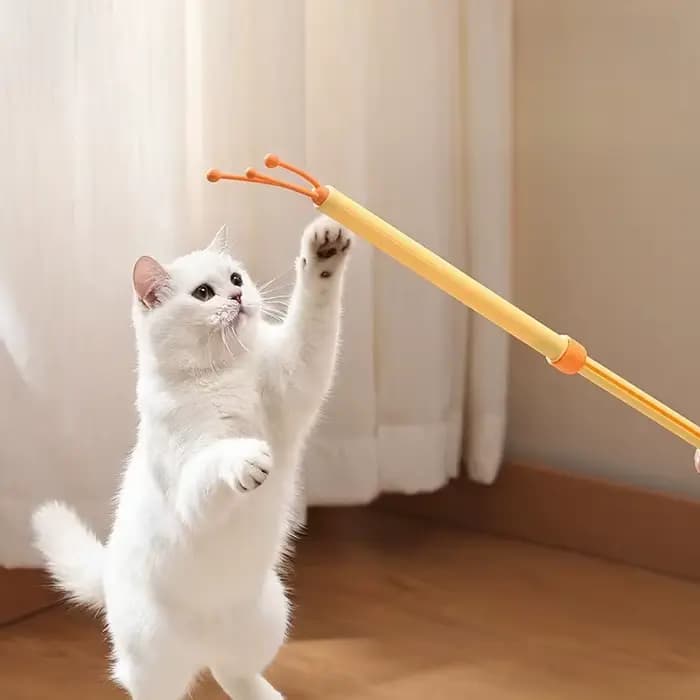 Grattoir rétractable double face pour animaux de compagnie