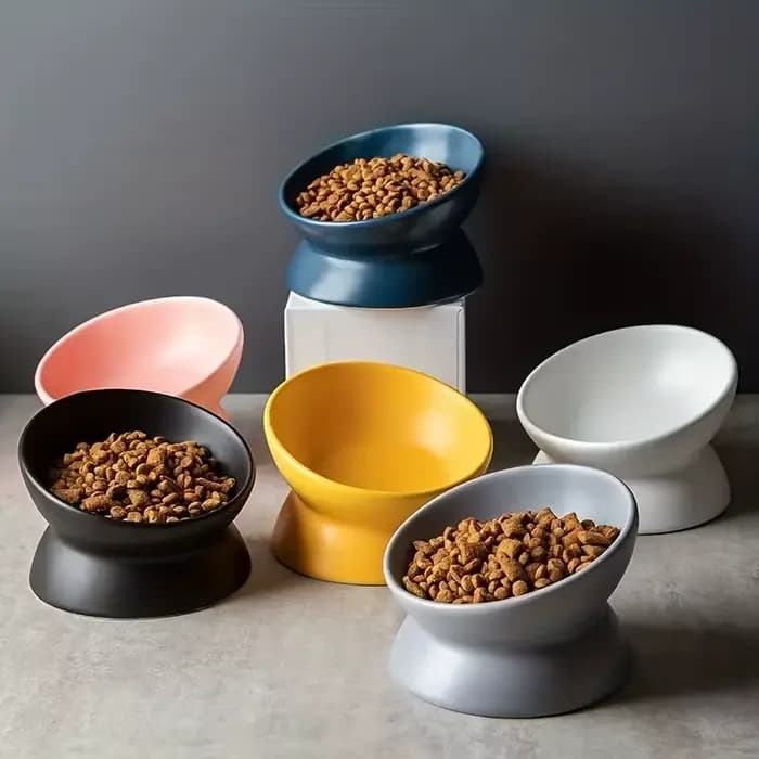 Ensemble de bols surélevés en céramique pour chat