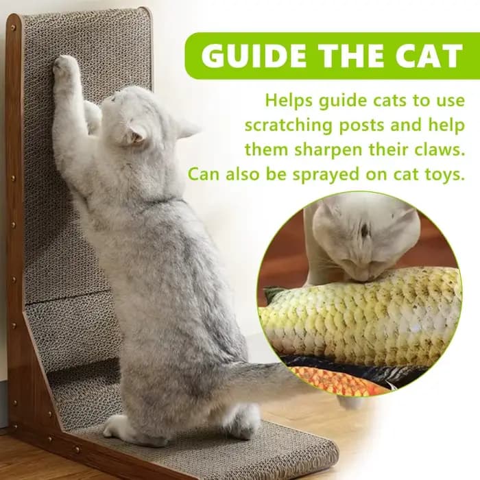 Spray naturel d'herbe à chat pour chats