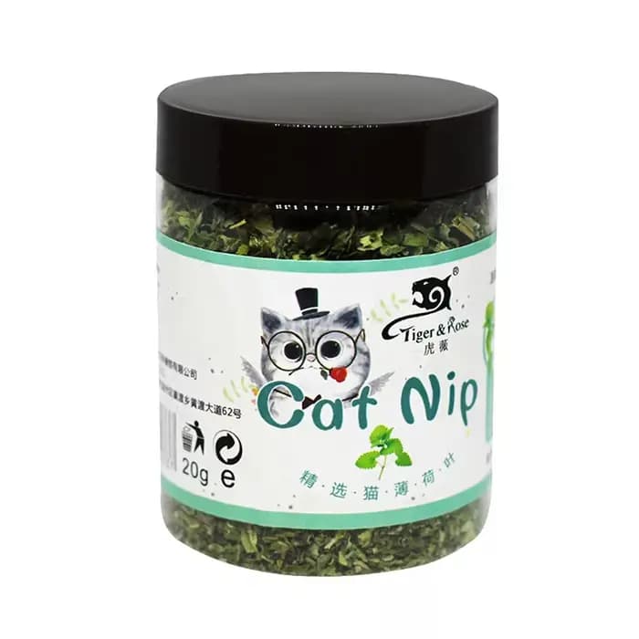 Jouet pour chat interactif en herbe