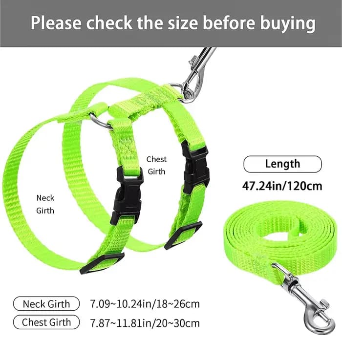 Collier réglable pour animaux de compagnie