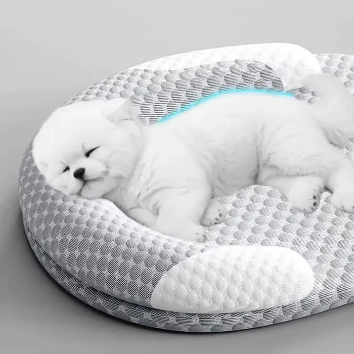Lit rafraîchissant pour chat – Tapis