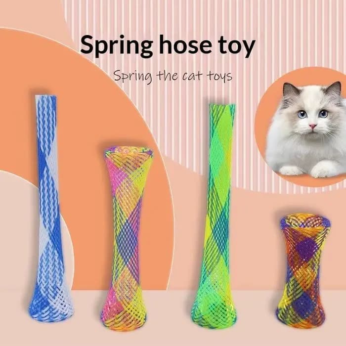 Jouets à ressort colorés pour chat
