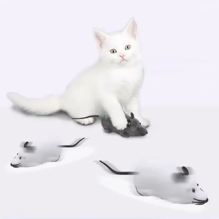 Souris robot amusante pour chat avec télécommande