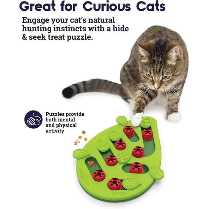 Jouet de puzzle pour chat en plastique non toxique de haute qualité
