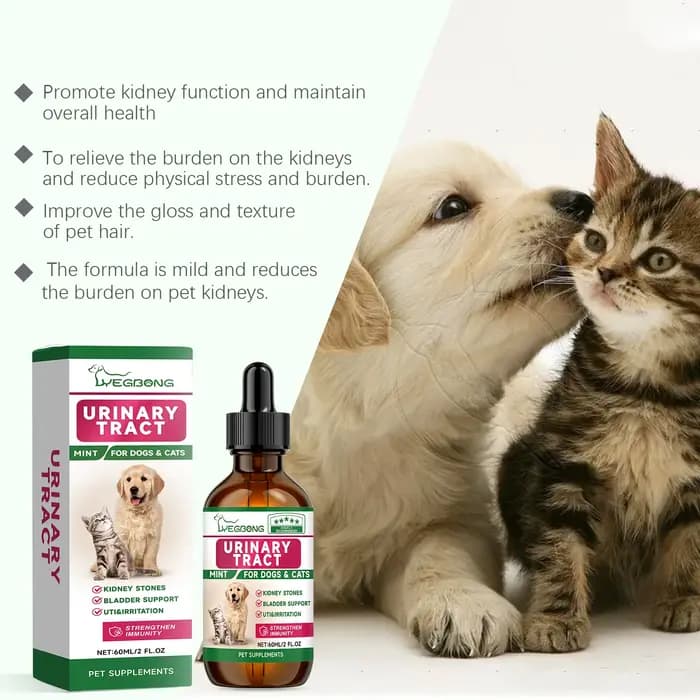 Yegbong Complément de soin pour animaux de compagnie pour favoriser la santé des reins – Améliore la vitalité