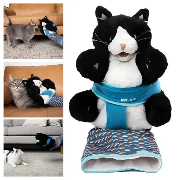 Gants de lutte pour chat, jouet pour chaton, gants interactifs pour chat, jouets de lutte pour chat, marionnette, fournitures de poupées pour animaux de compagnie