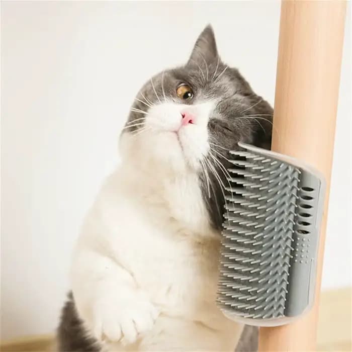Masseur à gratter pour chat