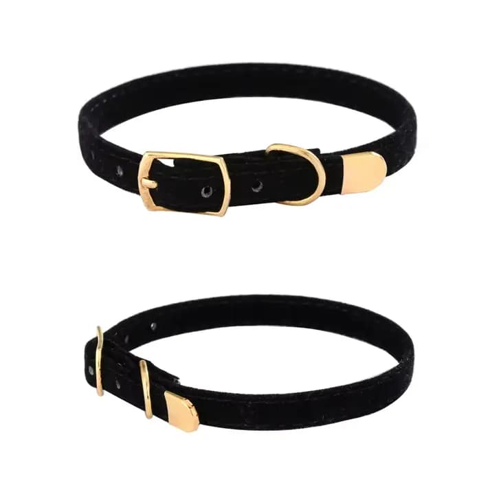 Collier de flocage pour animal de compagnie