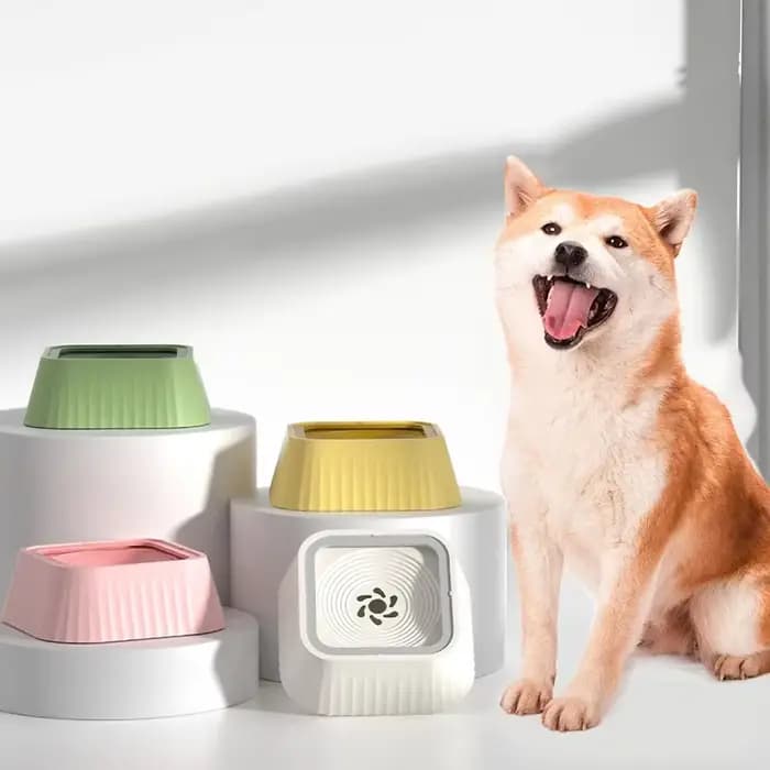 1 bol à eau anti-déversement pour animaux de compagnie - Conçu pour les chats et les chiens avec base antidérapante et fonction flottante