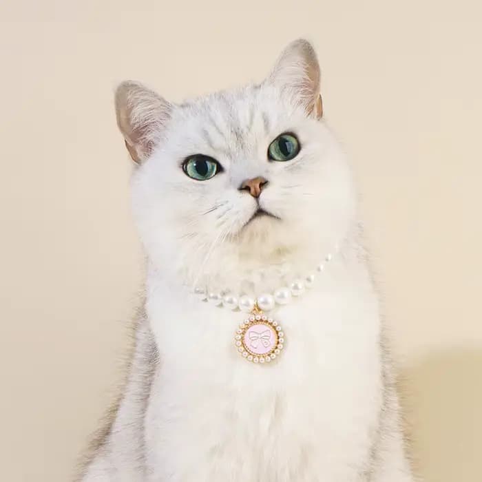 Collier de perles pour animaux de compagnie