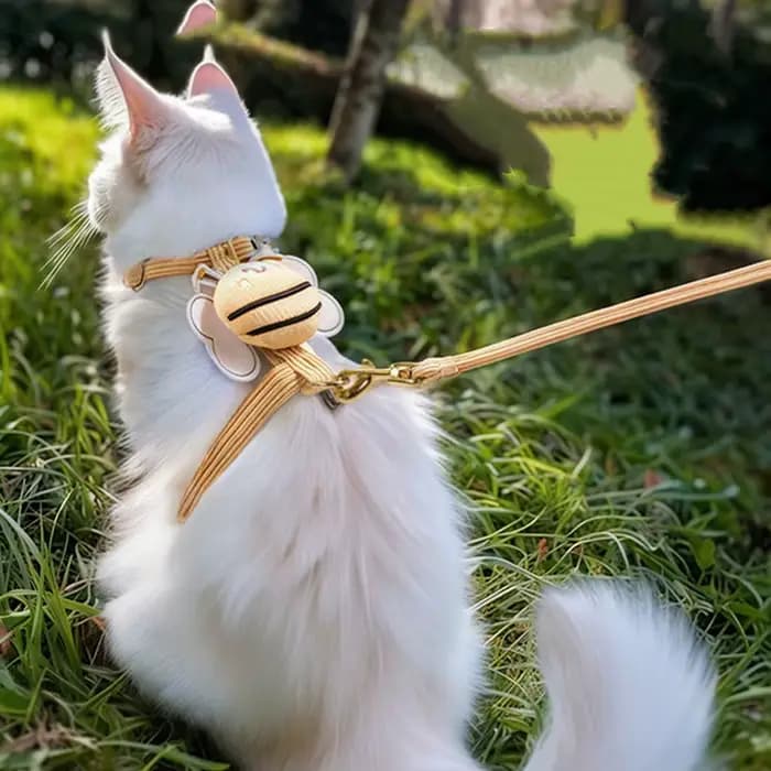 Harnais pour chat, harnais et ensemble pour animaux de compagnie
