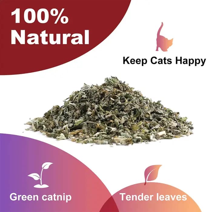 Pet's Cat Premium Catnip-56g Pot de cataire à haute puissance
