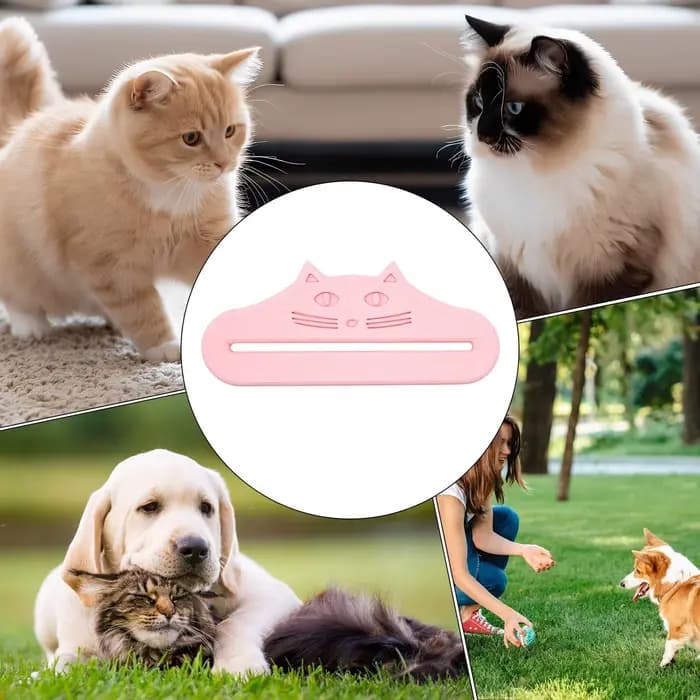 Distributeur de nourriture pour chat en sachet
