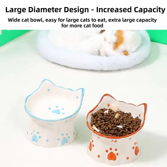15 ° Gamelle inclinée surélevée pour chat