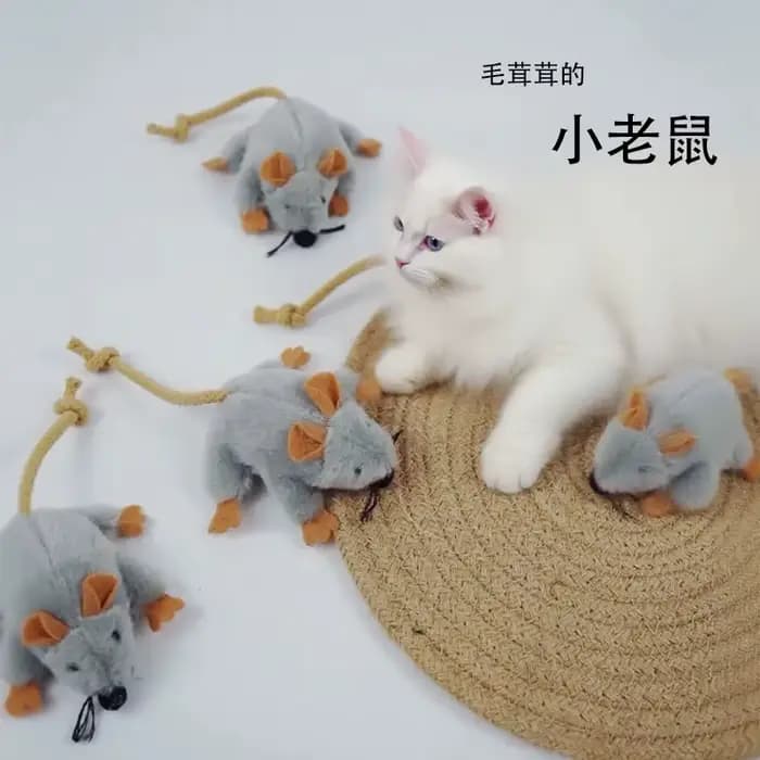 Jouets pour chats, souris en peluche mignonnes, jouets interactifs pour chats, accessoires pour chatons, herbe à chat