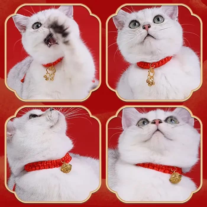 Collier Tressé en Corde Rouge pour Chat Chinois