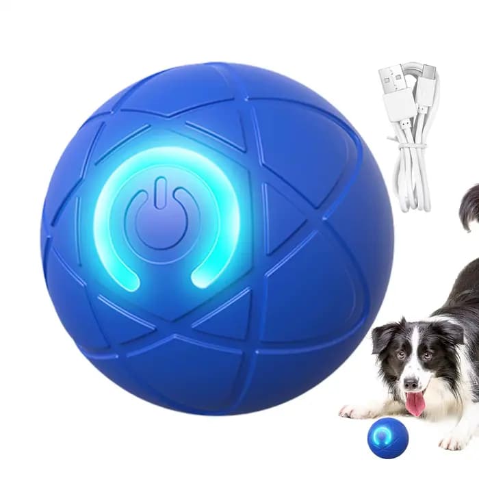 Jouet pour animaux de compagnie