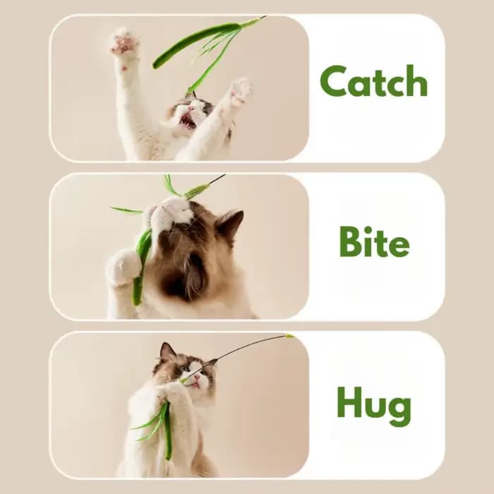 Jouet interactif pour chat : Baguette longue en acier durable avec plumes et fil