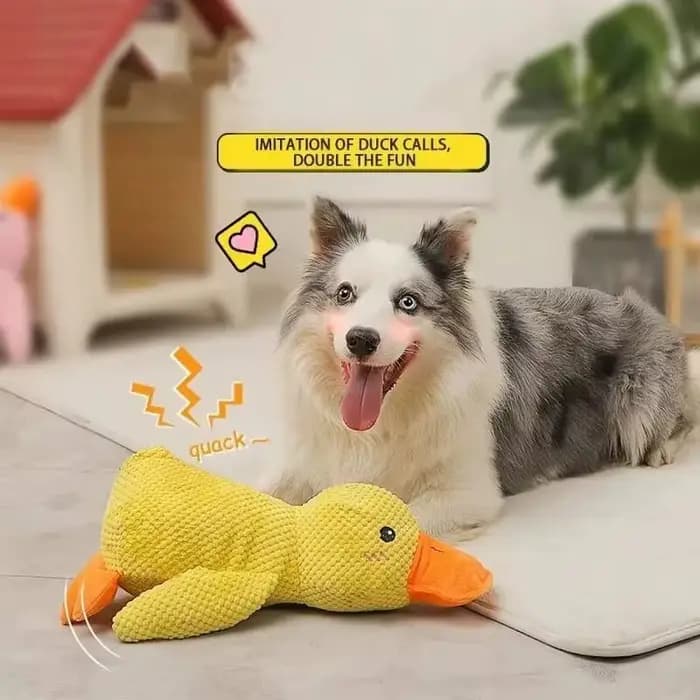 Jouet en peluche pour animaux de compagnie