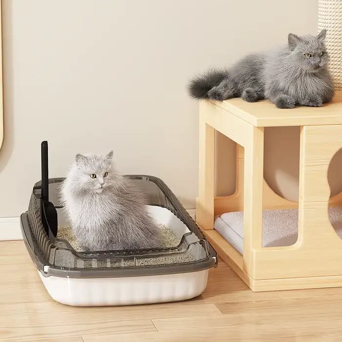 Bac à litière pour chat
