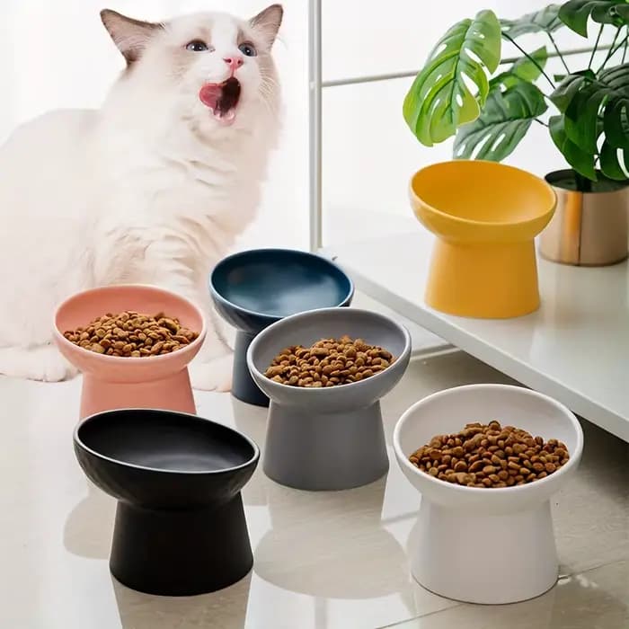Bol en céramique pour chat, bol surélevé pour animaux de compagnie avec protection du cou, bol anti-étouffement pour chien, accessoires pour chat, fournitures pour animaux de compagnie