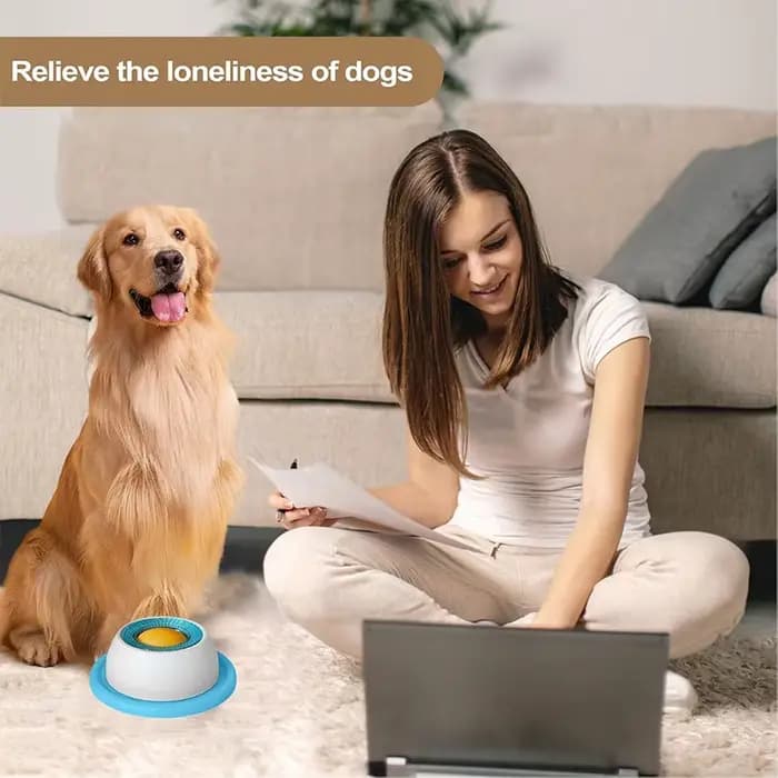 Nouveau yaourt assiette à lécher anti-pill chat taquin alimentation lente bol de collation interactif résistant aux