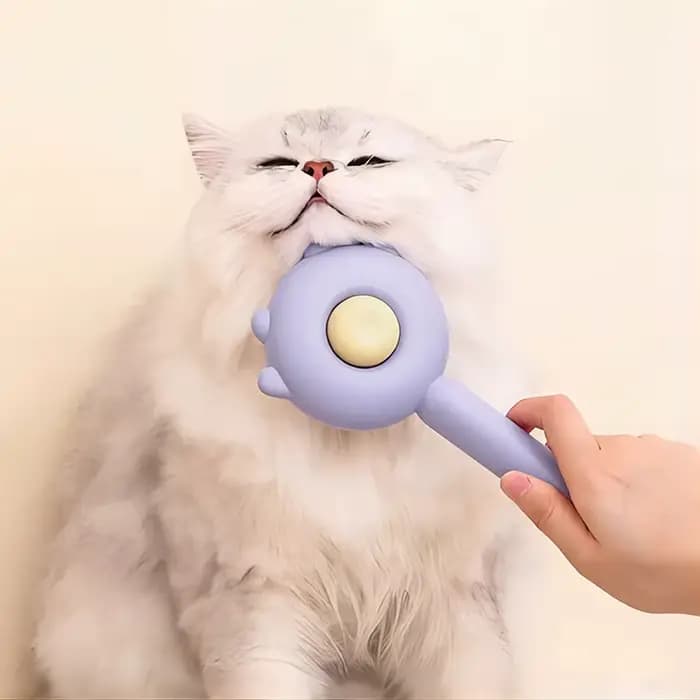 Brosse pour animaux de compagnie