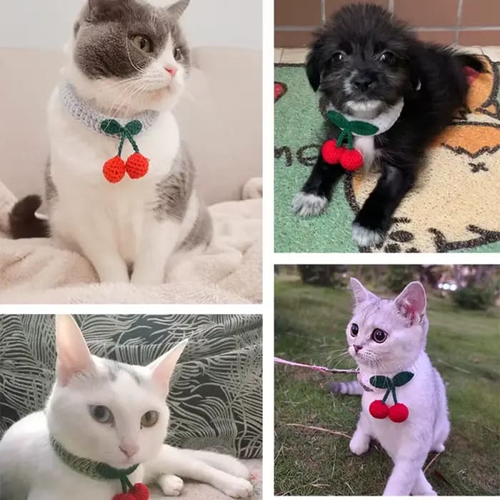 Collier avec boule réglable pour animaux de compagnie