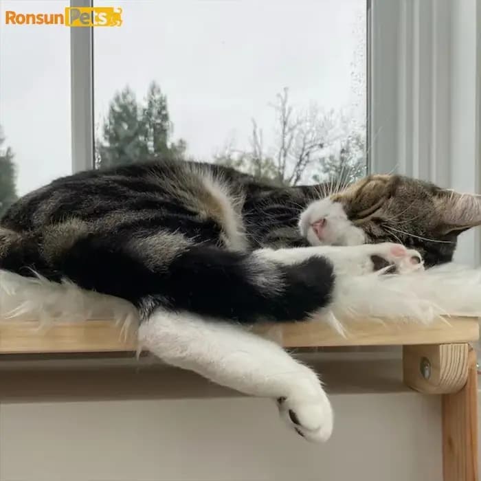 Tour d'arbre à chat en bois