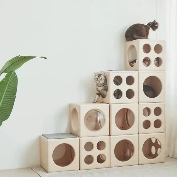 Maison de chat semi-fermée en bois
