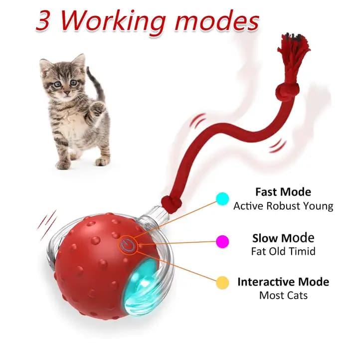 Balle jouet interactive pour chat avec oiseaux