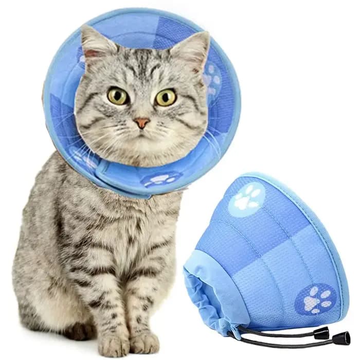 Collier de protection réglable anti-morsure pour chat