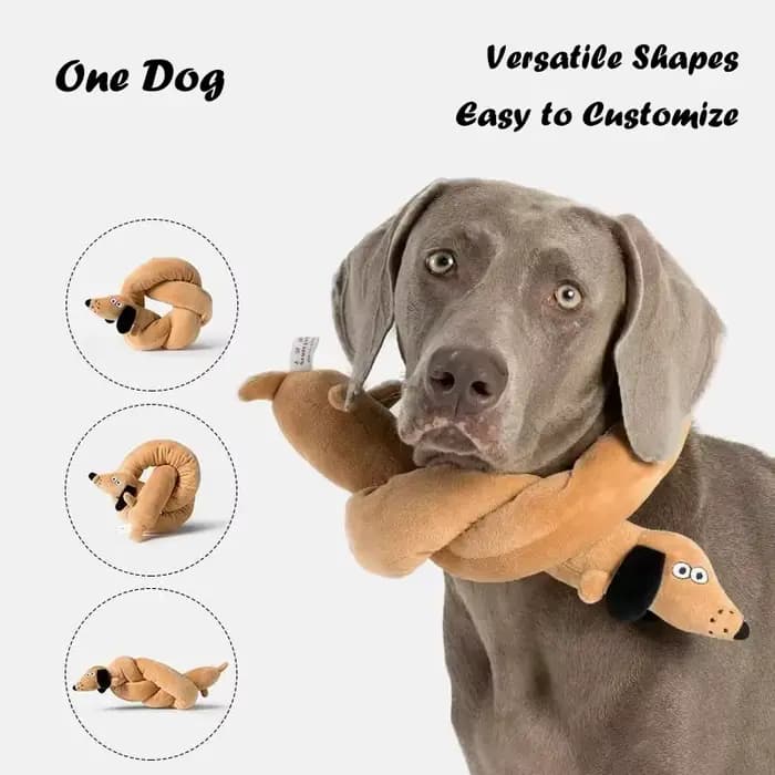 Jouet en peluche teckel Long grinçant