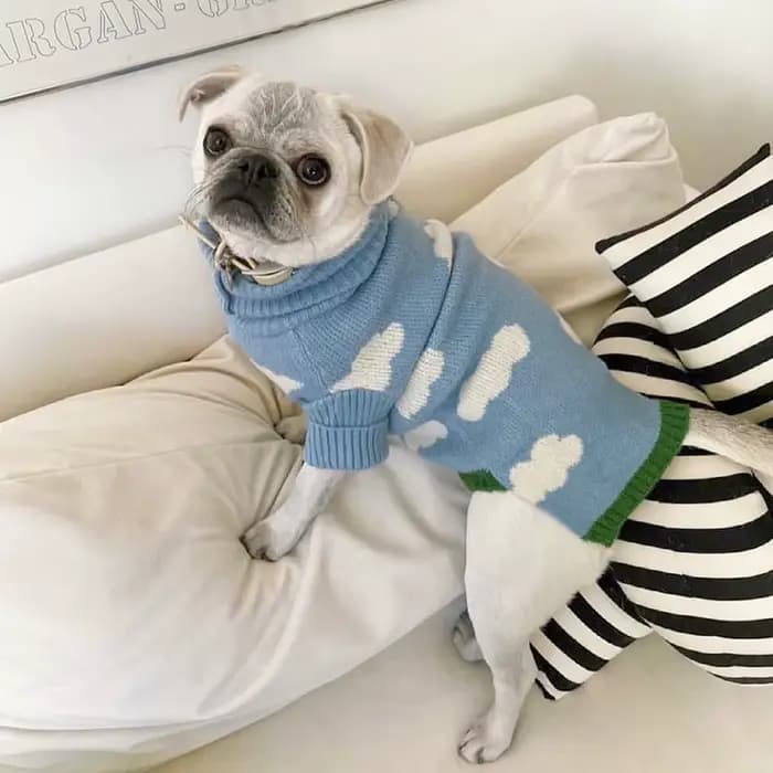 Pull nuage pour chien, vêtements chauds pour chats au printemps