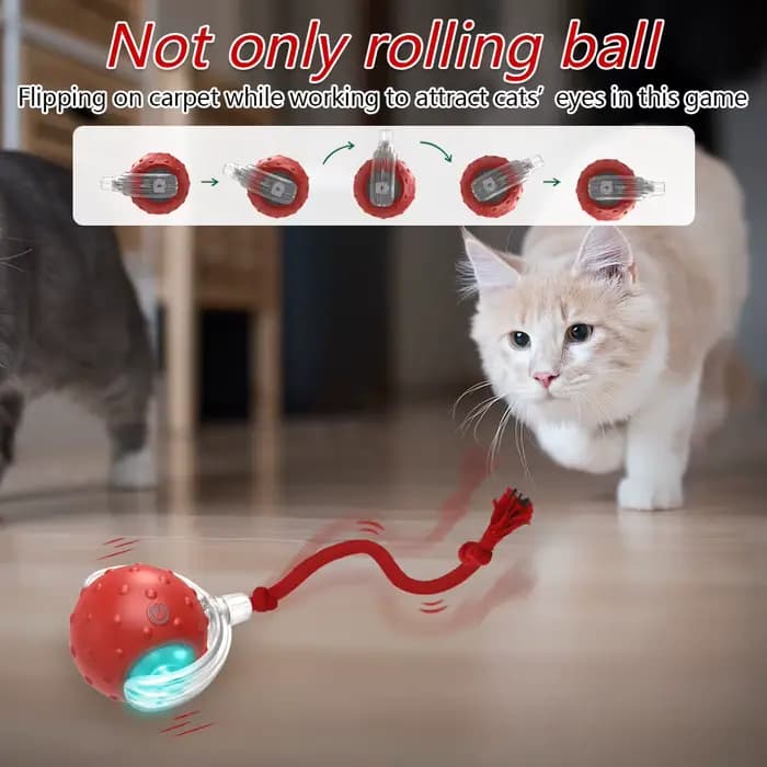 Balle jouet interactive pour chat avec oiseaux