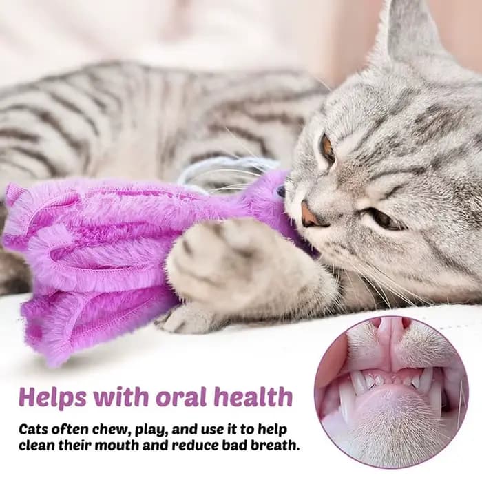 Jouets pour chat en forme de pieuvre mignons pour chatons et jeunes chats