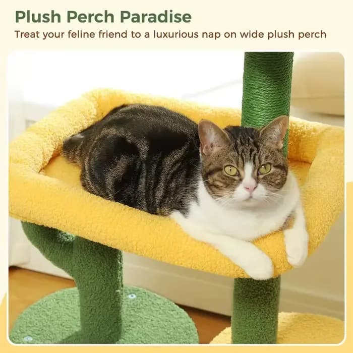 Arbre à chat d'intérieur de 36