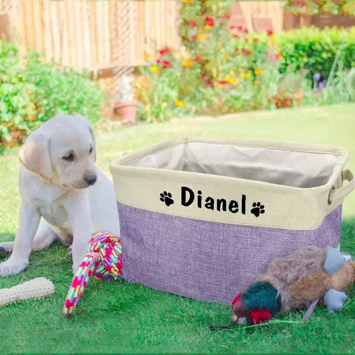 Panier de rangement personnalisé pour jouets de chien