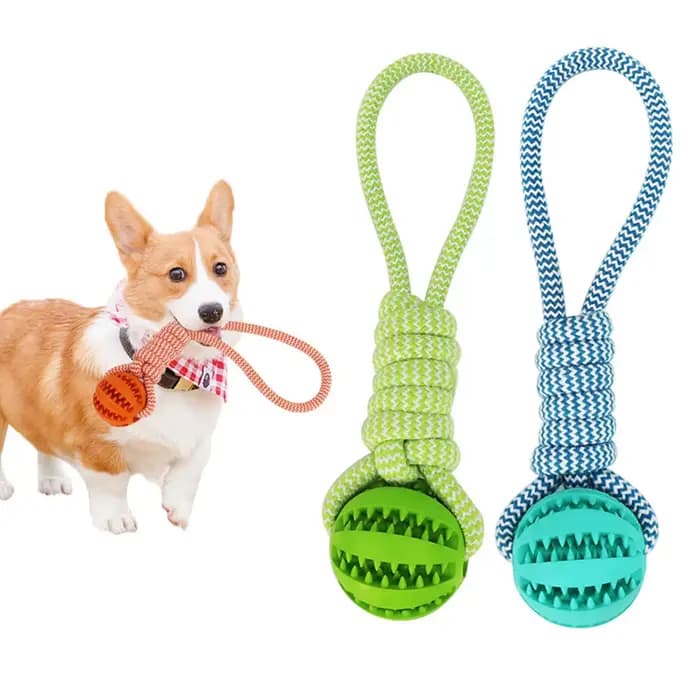 Boule de nettoyage des dents d'animaux domestiques