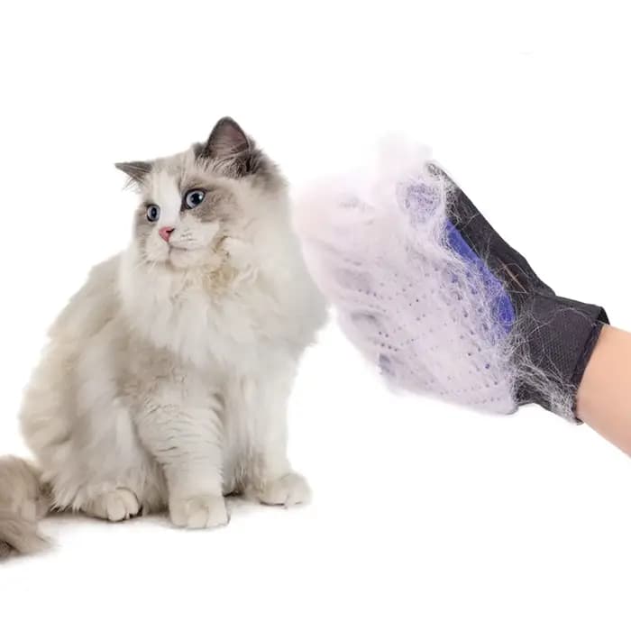 Gant de toilettage pour animaux de compagnie