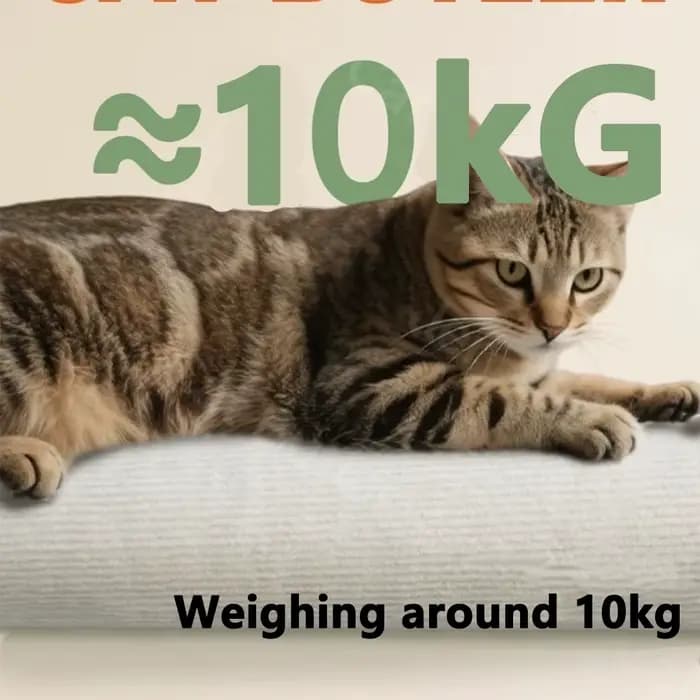 Planche à gratter murale pour chats, 7 couleurs, arbre à chat auto-adhésif, poste à gratter, jouet pour chats, échelle d'escalade, autocollant mural