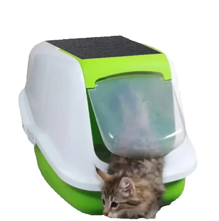 Filtre à litière pour chat domestique 4/6/8 pièces
