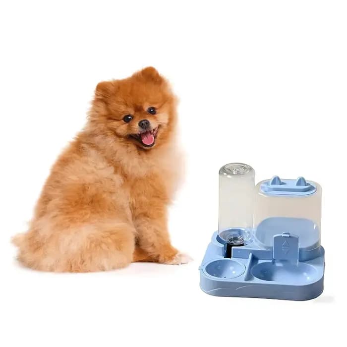 Distributeur automatique d'eau et de nourriture pour chat