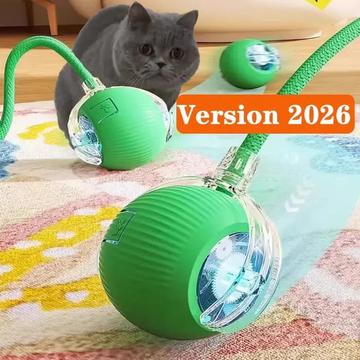 Nouveau jouet interactif de balle de chat