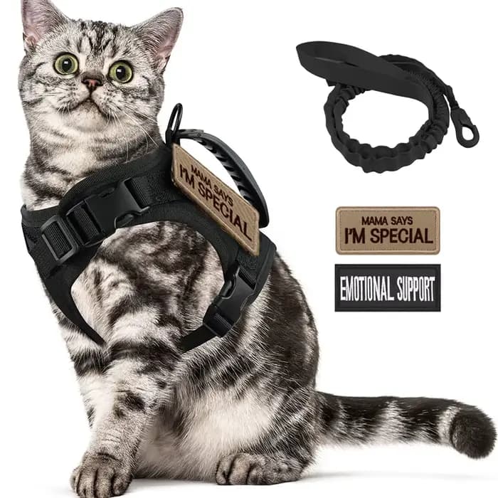 Harnais tactique pour chat