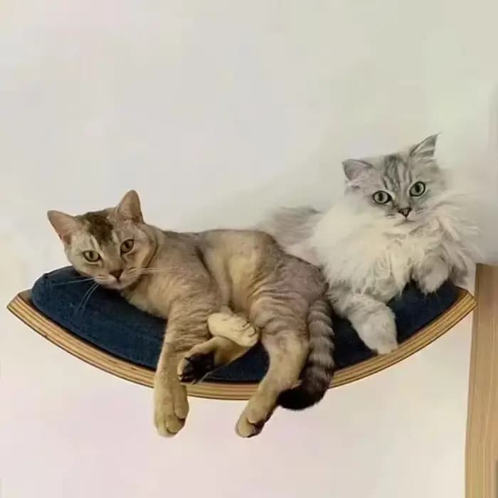 Cadre d'escalade en bois massif pour chat