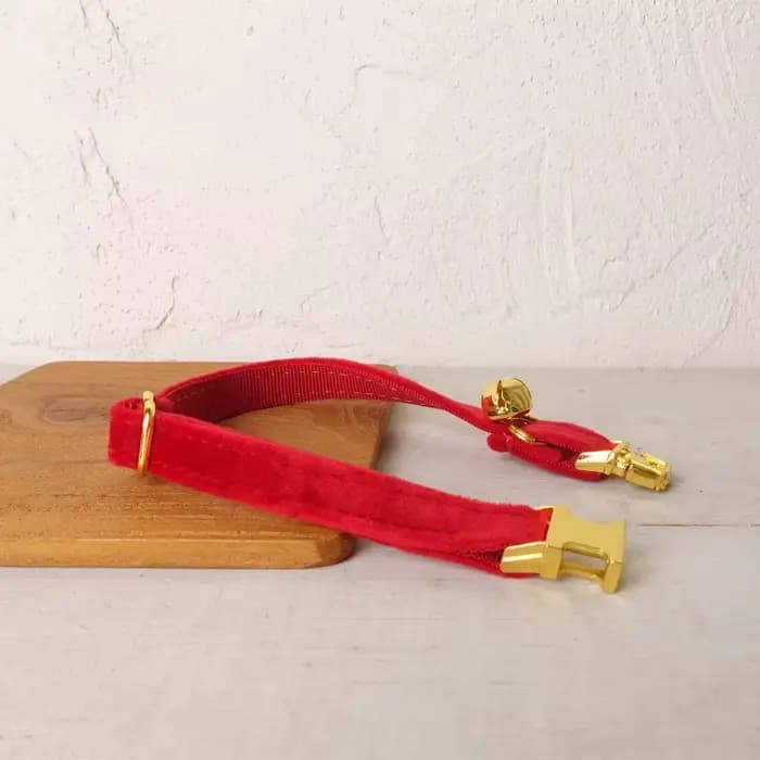 Collier de chat en velours personnalisé