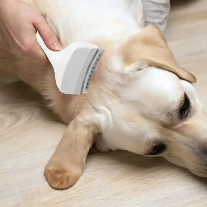 Brosse démêlante pour chiens et chats, outil de toilettage pour l'élimination des poils morts, pour chiots et chatons, râteau démêlant pour animaux de compagnie