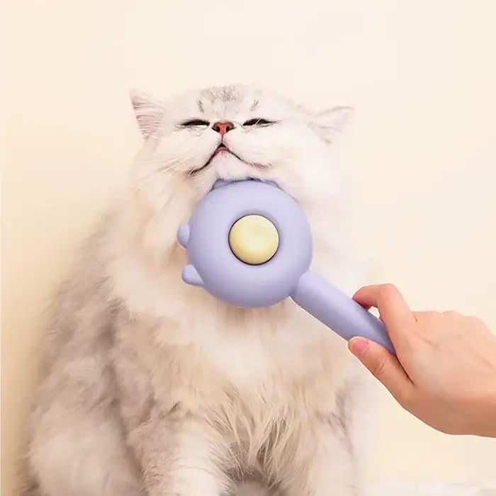 Peigne pour chat, brosse pour animaux de compagnie